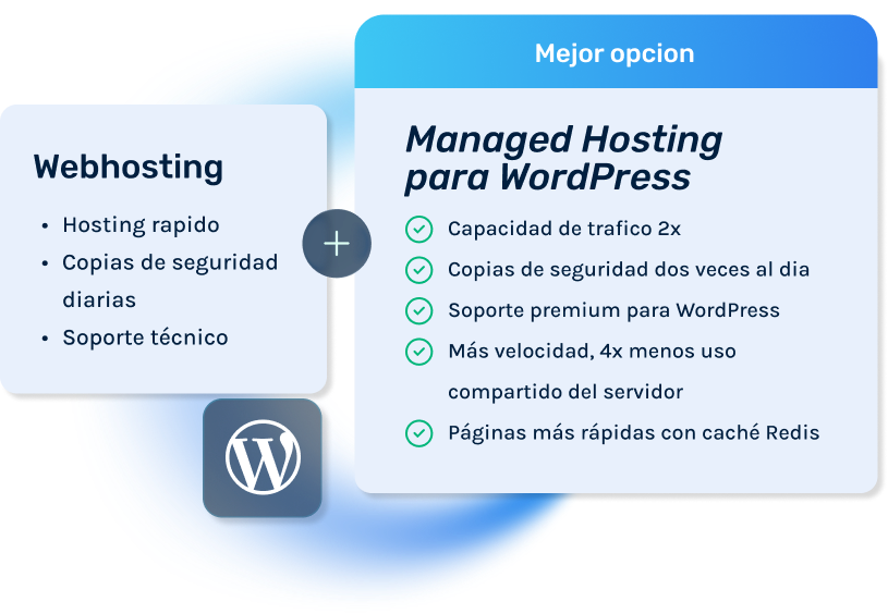 Managed WP ES